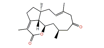 Clavirolide B